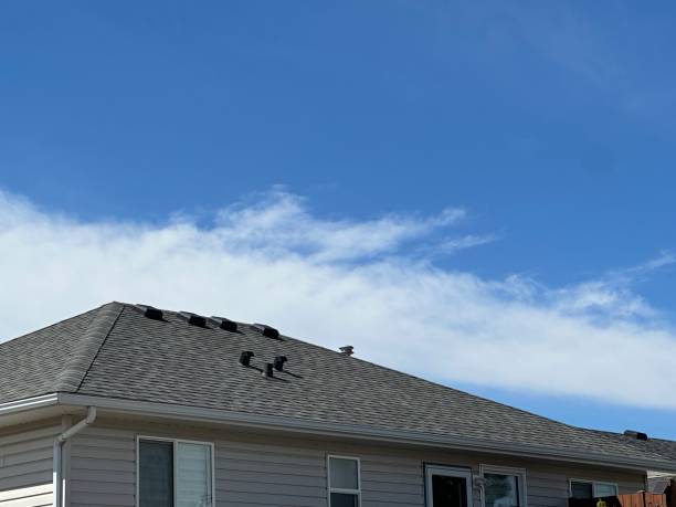 Best Roof Insulation Installation  in Hayti, PA